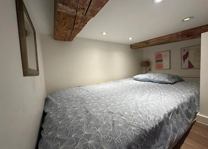 Canal View House - 17th Century Town House Appartement *